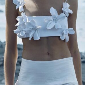 NWT Zara floral cropped top